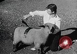 Image of Illinois State Fair scenes late 1940s Illinois United States USA, 1949, second 52 stock footage video 65675067577
