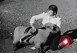 Image of Illinois State Fair scenes late 1940s Illinois United States USA, 1949, second 53 stock footage video 65675067577