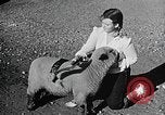 Image of Illinois State Fair scenes late 1940s Illinois United States USA, 1949, second 56 stock footage video 65675067577