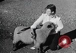 Image of Illinois State Fair scenes late 1940s Illinois United States USA, 1949, second 58 stock footage video 65675067577