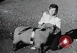 Image of Illinois State Fair scenes late 1940s Illinois United States USA, 1949, second 59 stock footage video 65675067577