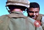 Image of 1st Cavalry Division Plei Me Vietnam, 1965, second 59 stock footage video 65675067578