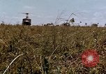Standbild 1st Cavalry Division Plei mich Vietnam, 1965, aus Sekunde 16 historischem Filmmaterial Videoclip 65675067581