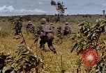 Standbild 1st Cavalry Division Plei mich Vietnam, 1965, aus Sekunde 26 historischem Filmmaterial Videoclip 65675067581