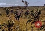 Standbild 1st Cavalry Division Plei mich Vietnam, 1965, aus Sekunde 27 historischem Filmmaterial Videoclip 65675067581