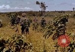 Standbild 1st Cavalry Division Plei mich Vietnam, 1965, aus Sekunde 28 historischem Filmmaterial Videoclip 65675067581
