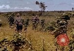 Standbild 1st Cavalry Division Plei mich Vietnam, 1965, aus Sekunde 30 historischem Filmmaterial Videoclip 65675067581