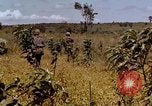 Standbild 1st Cavalry Division Plei mich Vietnam, 1965, aus Sekunde 31 historischem Filmmaterial Videoclip 65675067581