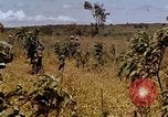 Standbild 1st Cavalry Division Plei mich Vietnam, 1965, aus Sekunde 32 historischem Filmmaterial Videoclip 65675067581