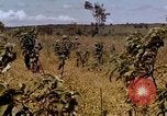 Standbild 1st Cavalry Division Plei mich Vietnam, 1965, aus Sekunde 33 historischem Filmmaterial Videoclip 65675067581