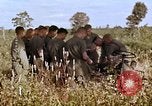 Standbild 1st Cavalry Division Plei mich Vietnam, 1965, aus Sekunde 30 historischem Filmmaterial Videoclip 65675067582