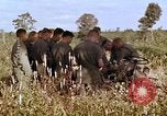 Standbild 1st Cavalry Division Plei mich Vietnam, 1965, aus Sekunde 32 historischem Filmmaterial Videoclip 65675067582
