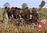 Standbild 1st Cavalry Division Plei mich Vietnam, 1965, aus Sekunde 35 historischem Filmmaterial Videoclip 65675067582