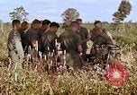 Standbild 1st Cavalry Division Plei mich Vietnam, 1965, aus Sekunde 36 historischem Filmmaterial Videoclip 65675067582