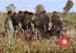 Standbild 1st Cavalry Division Plei mich Vietnam, 1965, aus Sekunde 37 historischem Filmmaterial Videoclip 65675067582