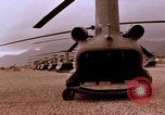 Image of 1st Cavalry Division Qui Nhon Vietnam, 1965, second 29 stock footage video 65675067584