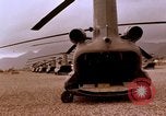 Image of 1st Cavalry Division Qui Nhon Vietnam, 1965, second 31 stock footage video 65675067584