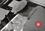 Image of U-2 recon during Cuban missile crisis Cuba, 1962, second 33 stock footage video 65675067628