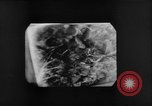 Immagine di Sotto l'acqua fotocamera Canada, 1952, secondo 32 filmato di repertorio 65675067634