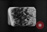 Immagine di Sotto l'acqua fotocamera Canada, 1952, secondo 33 filmato di repertorio 65675067634