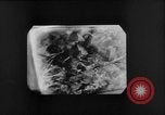 Immagine di Sotto l'acqua fotocamera Canada, 1952, secondo 39 filmato di repertorio 65675067634