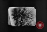 Immagine di Sotto l'acqua fotocamera Canada, 1952, secondo 41 filmato di repertorio 65675067634