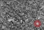 Image of Rose Bowl game Columbus Ohio  USA, 1952, second 34 stock footage video 65675067636