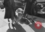 Immagine di Westminster Kennel Club Dog Show New York United States USA, 1953, secondo 10 filmato di repertorio 65675067643