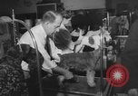 Immagine di Westminster Kennel Club Dog Show New York United States USA, 1953, secondo 21 filmato di repertorio 65675067643