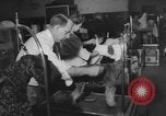 Immagine di Westminster Kennel Club Dog Show New York United States USA, 1953, secondo 22 filmato di repertorio 65675067643