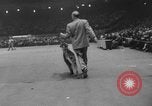 Immagine di Westminster Kennel Club Dog Show New York United States USA, 1953, secondo 44 filmato di repertorio 65675067643