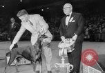 Immagine di Westminster Kennel Club Dog Show New York United States USA, 1953, secondo 58 filmato di repertorio 65675067643