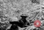 Immagine di Soldati francesi Laos, 1953, secondo 25 filmato di repertorio 65675067644