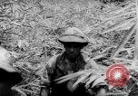 Immagine di Soldati francesi Laos, 1953, secondo 26 filmato di repertorio 65675067644