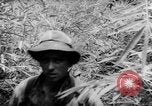 Immagine di Soldati francesi Laos, 1953, secondo 27 filmato di repertorio 65675067644