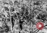 Immagine di Soldati francesi Laos, 1953, secondo 29 filmato di repertorio 65675067644