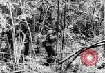 Immagine di Soldati francesi Laos, 1953, secondo 31 filmato di repertorio 65675067644