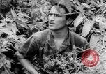 Immagine di Soldati francesi Laos, 1953, secondo 32 filmato di repertorio 65675067644