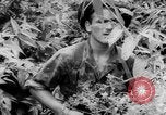 Immagine di Soldati francesi Laos, 1953, secondo 34 filmato di repertorio 65675067644