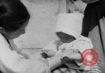 Immagine di La Croce Rossa americana donne Seoul COREA, 1953, secondo 26 filmato di repertorio 65675067647