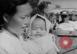 Immagine di La Croce Rossa americana donne Seoul COREA, 1953, secondo 30 filmato di repertorio 65675067647