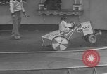 Immagine di equilibrio acrobazie di scimpanzé Saint Louis Missouri USA, 1953, secondo 7 filmato di repertorio 65675067648