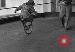 Immagine di equilibrio acrobazie di scimpanzé Saint Louis Missouri USA, 1953, secondo 15 filmato di repertorio 65675067648