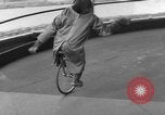 Immagine di equilibrio acrobazie di scimpanzé Saint Louis Missouri USA, 1953, secondo 16 filmato di repertorio 65675067648