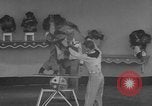 Immagine di equilibrio acrobazie di scimpanzé Saint Louis Missouri USA, 1953, secondo 34 filmato di repertorio 65675067648