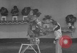 Immagine di equilibrio acrobazie di scimpanzé Saint Louis Missouri USA, 1953, secondo 35 filmato di repertorio 65675067648