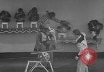 Immagine di equilibrio acrobazie di scimpanzé Saint Louis Missouri USA, 1953, secondo 36 filmato di repertorio 65675067648