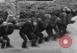 Immagine di equilibrio acrobazie di scimpanzé Saint Louis Missouri USA, 1953, secondo 46 filmato di repertorio 65675067648