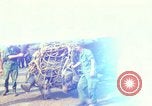 Immagine di Elephant trasferito in aereo Il Vietnam, 1968, secondo 1 filmato di repertorio 65675067651