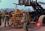 Immagine di Elephant trasferito in aereo Il Vietnam, 1968, secondo 3 filmato di repertorio 65675067651